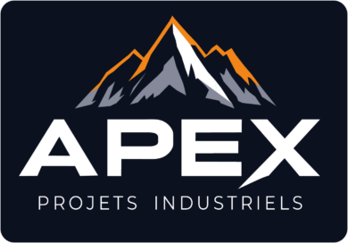 Logo APEX