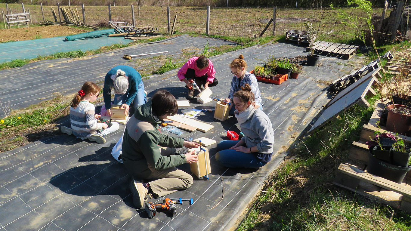 chantier participatif de fabrication de nichoirs à oiseaux