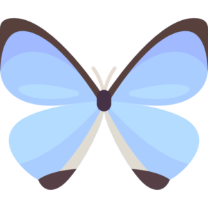 Icone papillon